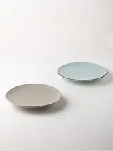 平皿 陶器 おしゃれ 上品 北欧風 家庭用 取り皿 「alaniz」