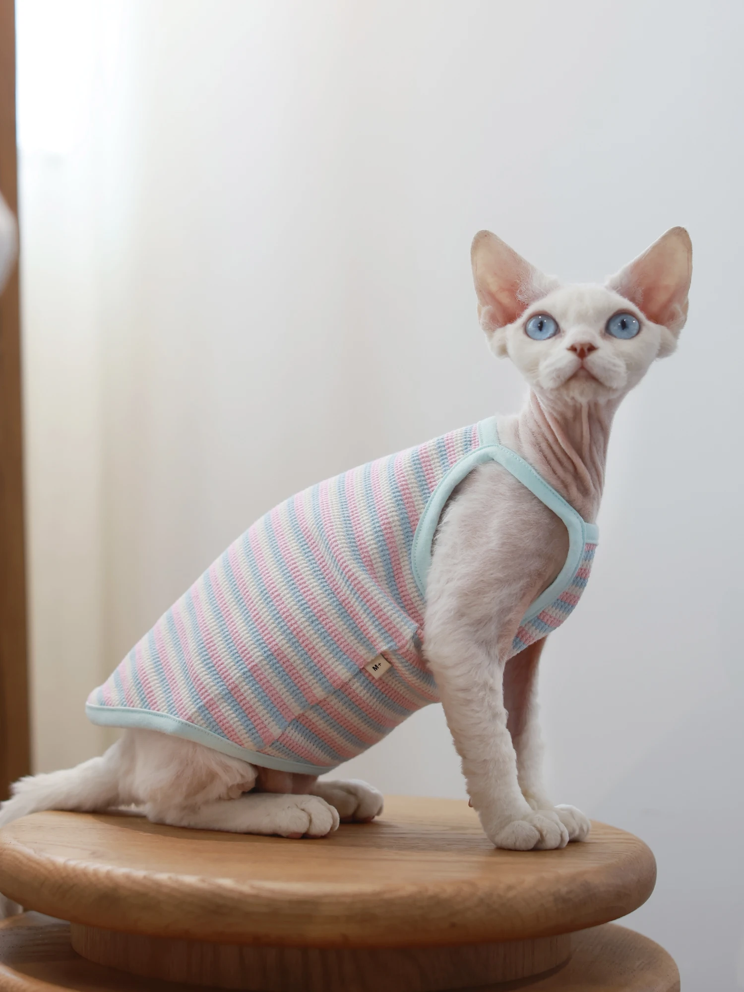 猫飼いが買ってよかったもの・悪かったもの正直に言う｜夏の涼しさを実感する吊りストラップの徹底解説