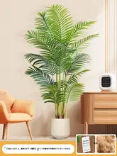 フェイクツリー 植物 インドア リビング 大型 フロア デコレーション 擬似 散尾葵