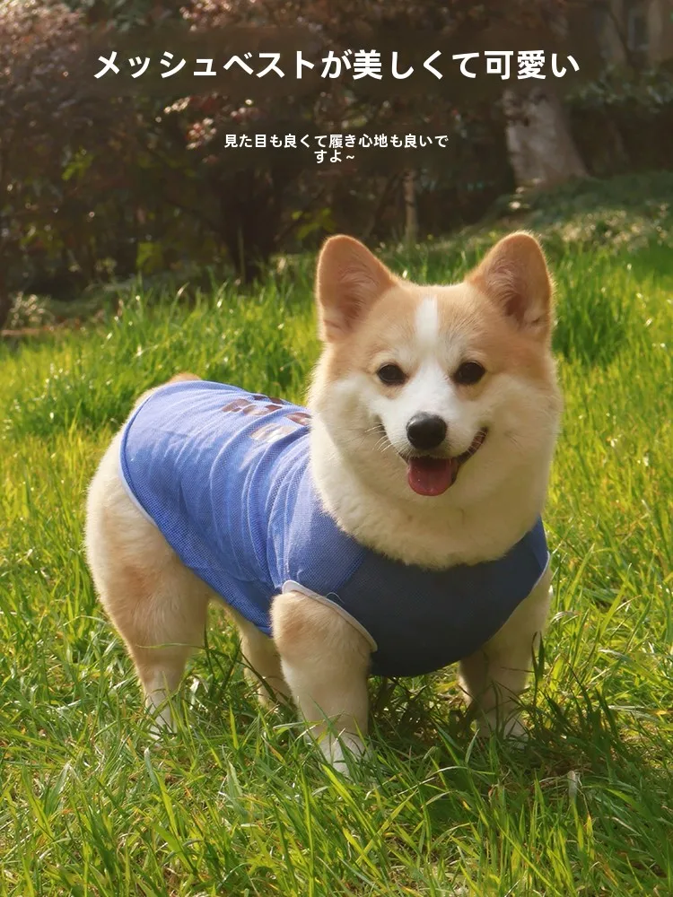 夏用コーギー犬用衣服：薄手・虫除け・UVカットで快適な outdoors ライフを実現