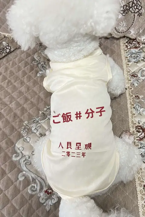 犬用冬用厚手ウェア【小型犬・四足・ティディ・ポメラニアン・ビション・秋冬対応】