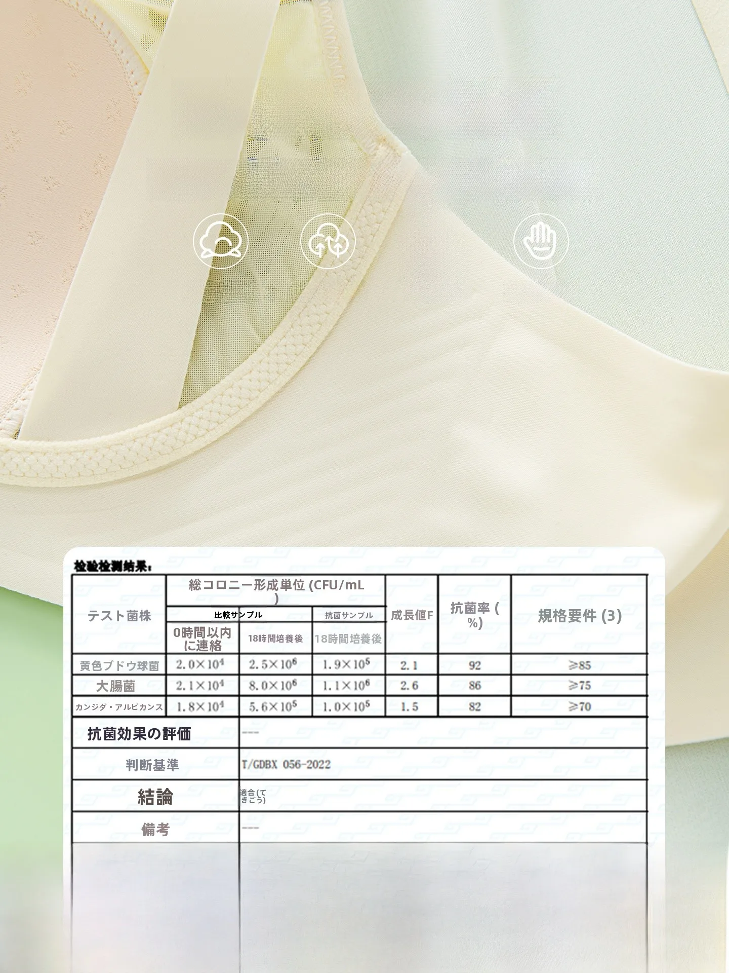 授乳ブラトップ MiiOW：ノンワイヤーで大胸に適した透け感のある設計