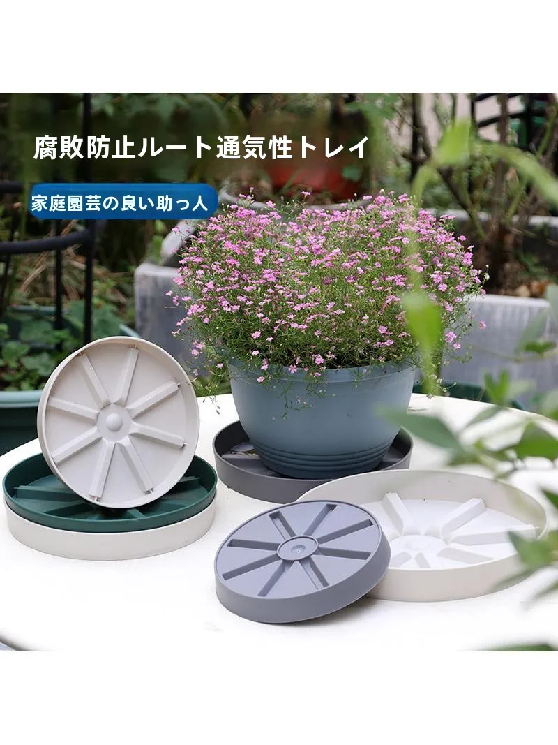 植物受け皿を選ぶときに迷うのは、本当に「受け皿」なのか？