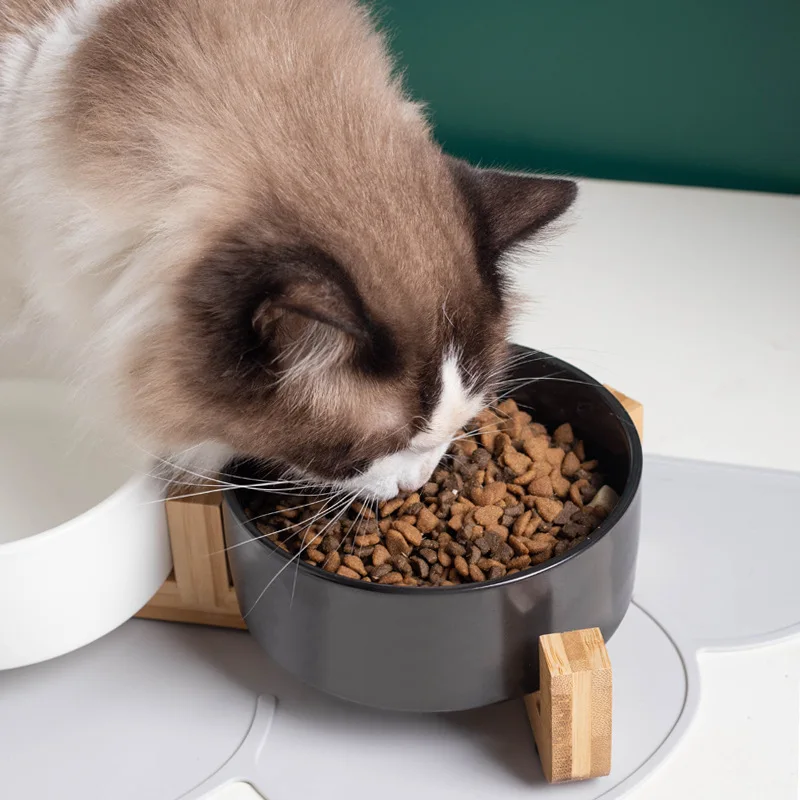 猫飼いが買ってよかったもの・悪かったもの正直に言う｜陶器食器の選び方徹底解説