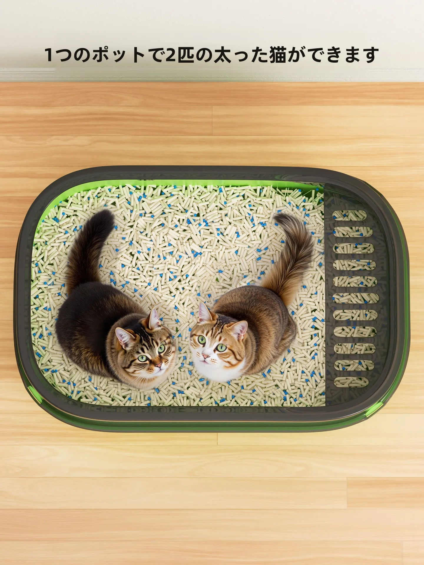 猫トイレカバーを選び直すべきタイミングは？