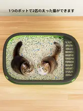 超大容量 猫用トイレ【半閉じ式・オープンデザイン】