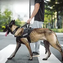 大型犬用リード付ハーネス【背面調整可能・金色の毛色対応・丈夫なデザイン】