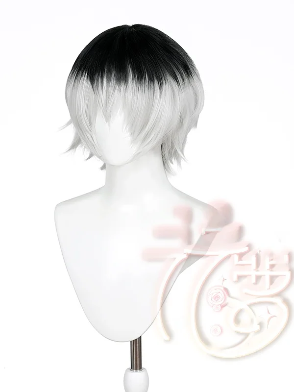白髪まとめ髪に最適なコスプレ用カラーウィッグ【特別調合・ふんわりトップ】の実用性と使い方