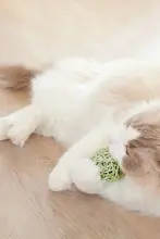 手編みの三色ボール付き猫のおもちゃ【音が出るベル・噛む用】