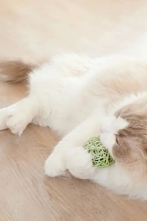 手編みの三色ボール付き猫のおもちゃ【音が出るベル・噛む用】