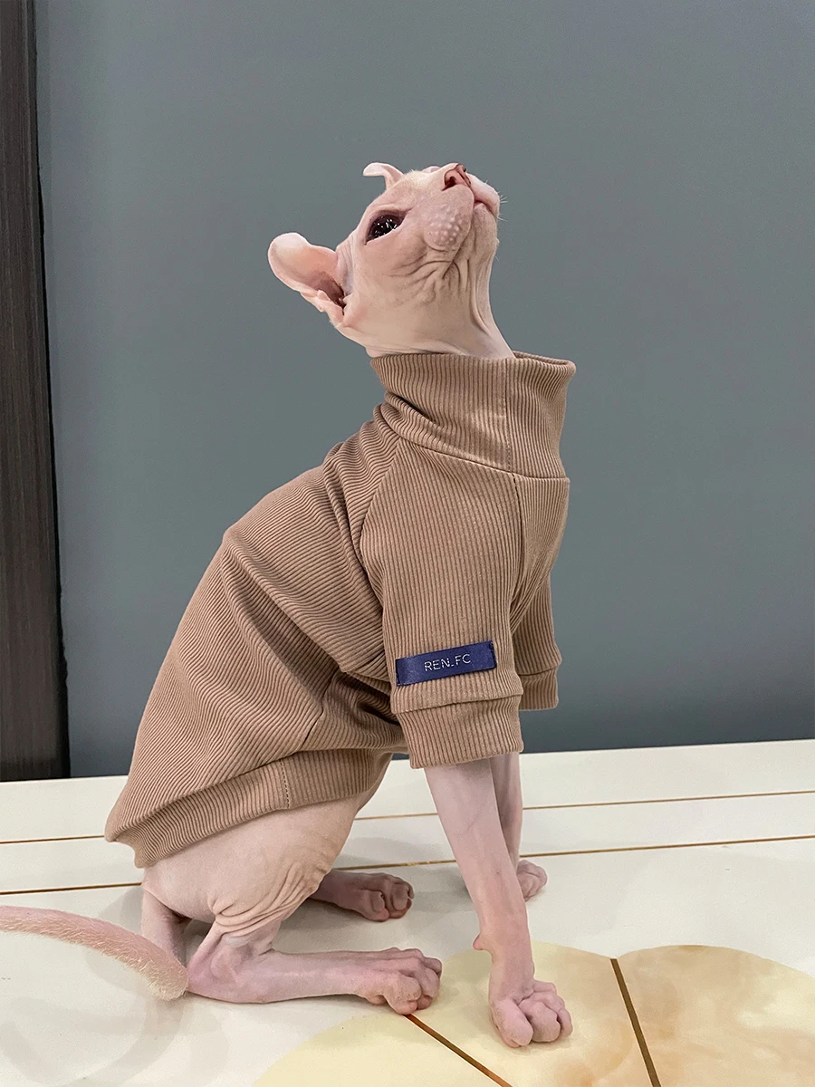 猫飼いが買ってよかったもの・悪かったもの正直に言う｜スフィンクス猫用コットンTシャツの徹底解説