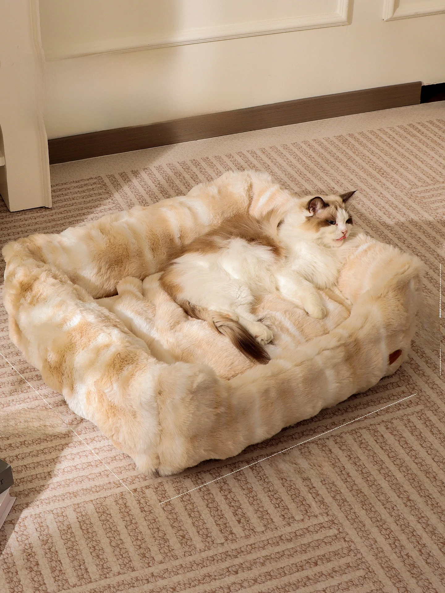 猫のこたつとは？本当  に猫が幸せになるための最適な冬の居場所はこれ！