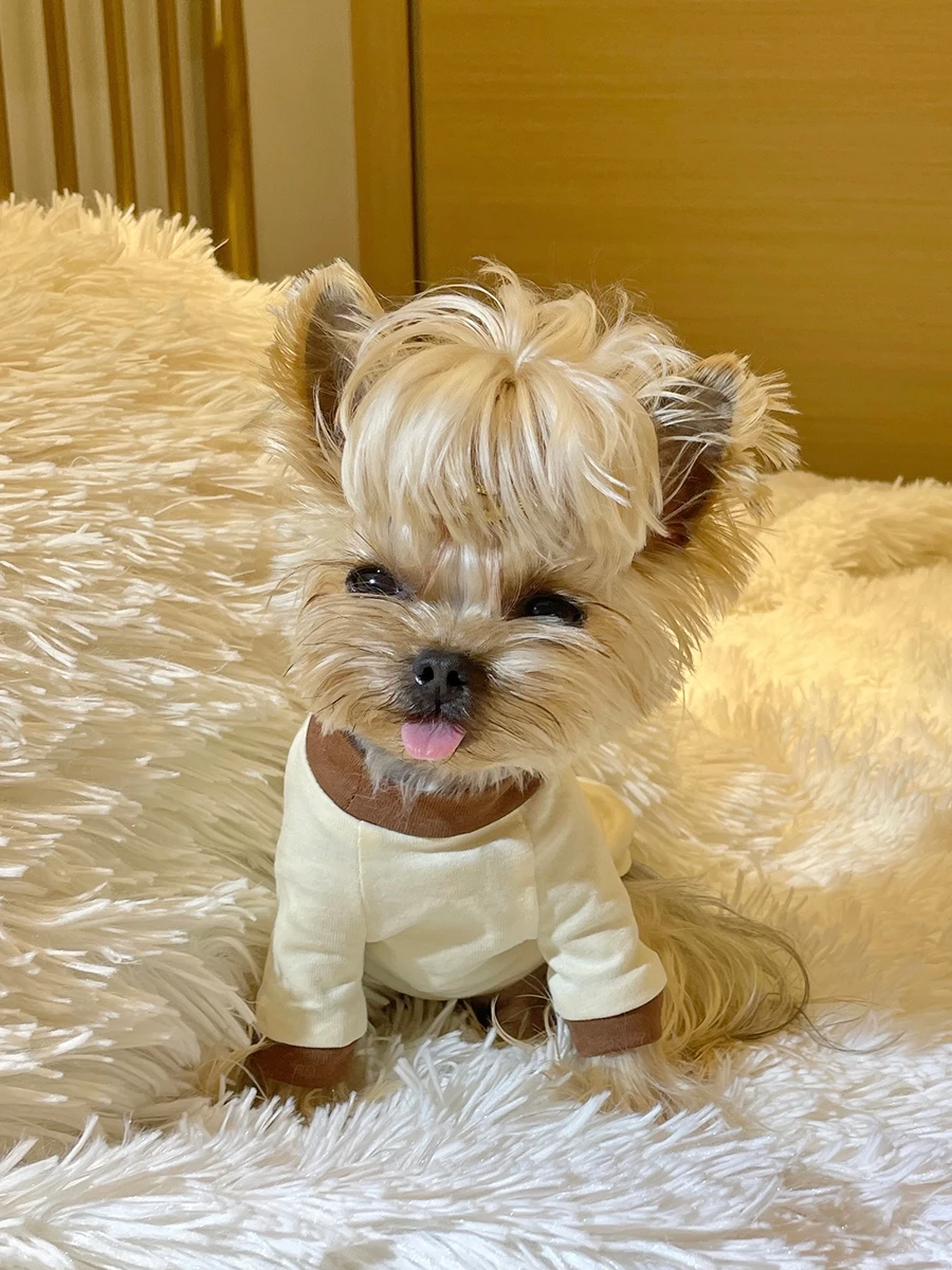 犬猫用Tシャツ：純綿ロゴプリントで夏の快適さを実現