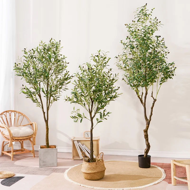 インテリア買い物リストに加えるべき植物は？オリーブ の木の選び方と配置ガイド