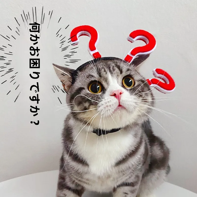 お団子カチューシャは本当に人気なのか？その魅力と選び方を徹底解説