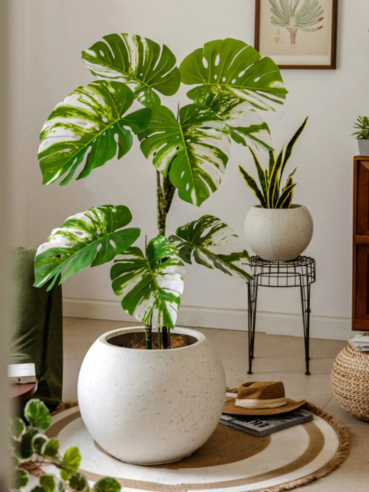 植木鉢6号を選ぶときに迷うなら、この1つのデザインが答えになる？