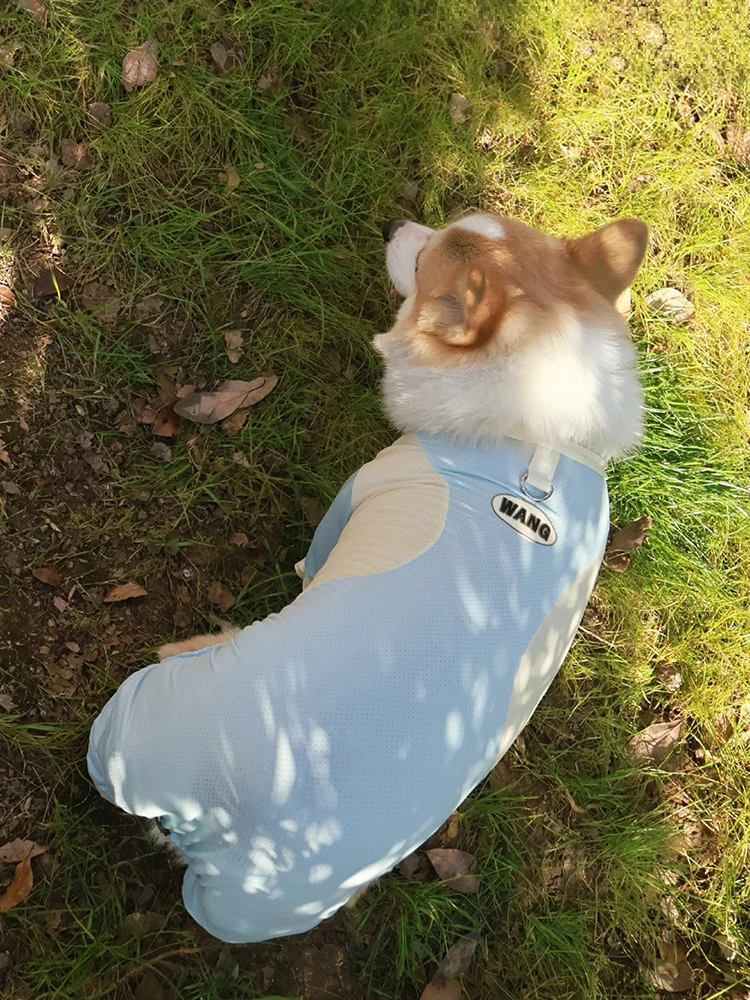 柴犬用春夏通気性ペット服：防汚・紫外線対策で快適な散歩を実現