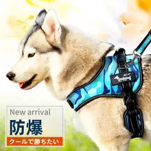 犬用ハーネス付きリード【中大型犬用・外出用】（セットアップ対応）