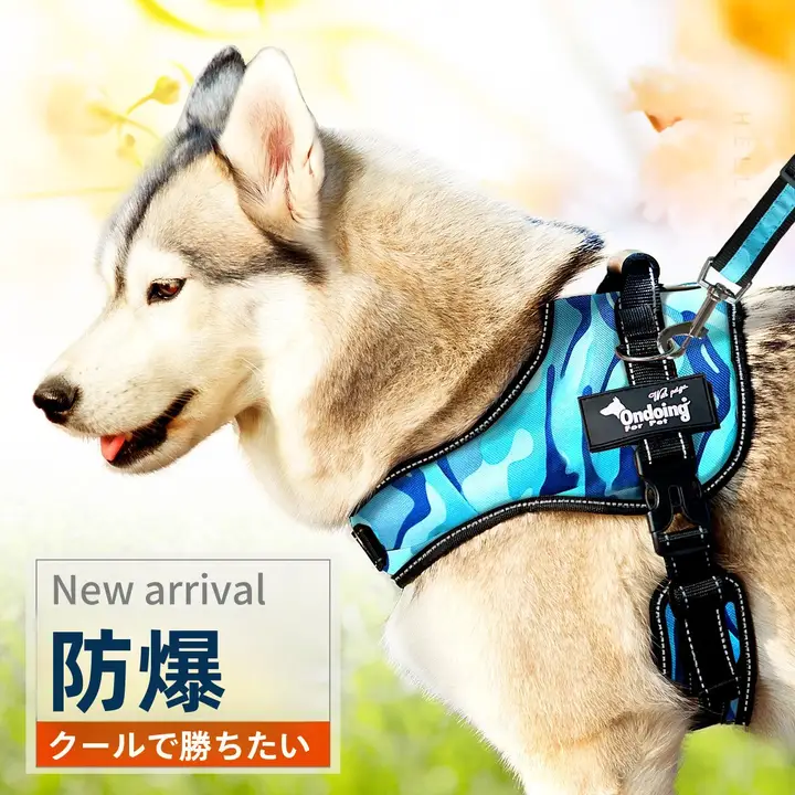 犬用ハーネス付きリード【中大型犬用・外出用】（セットアップ対応）
