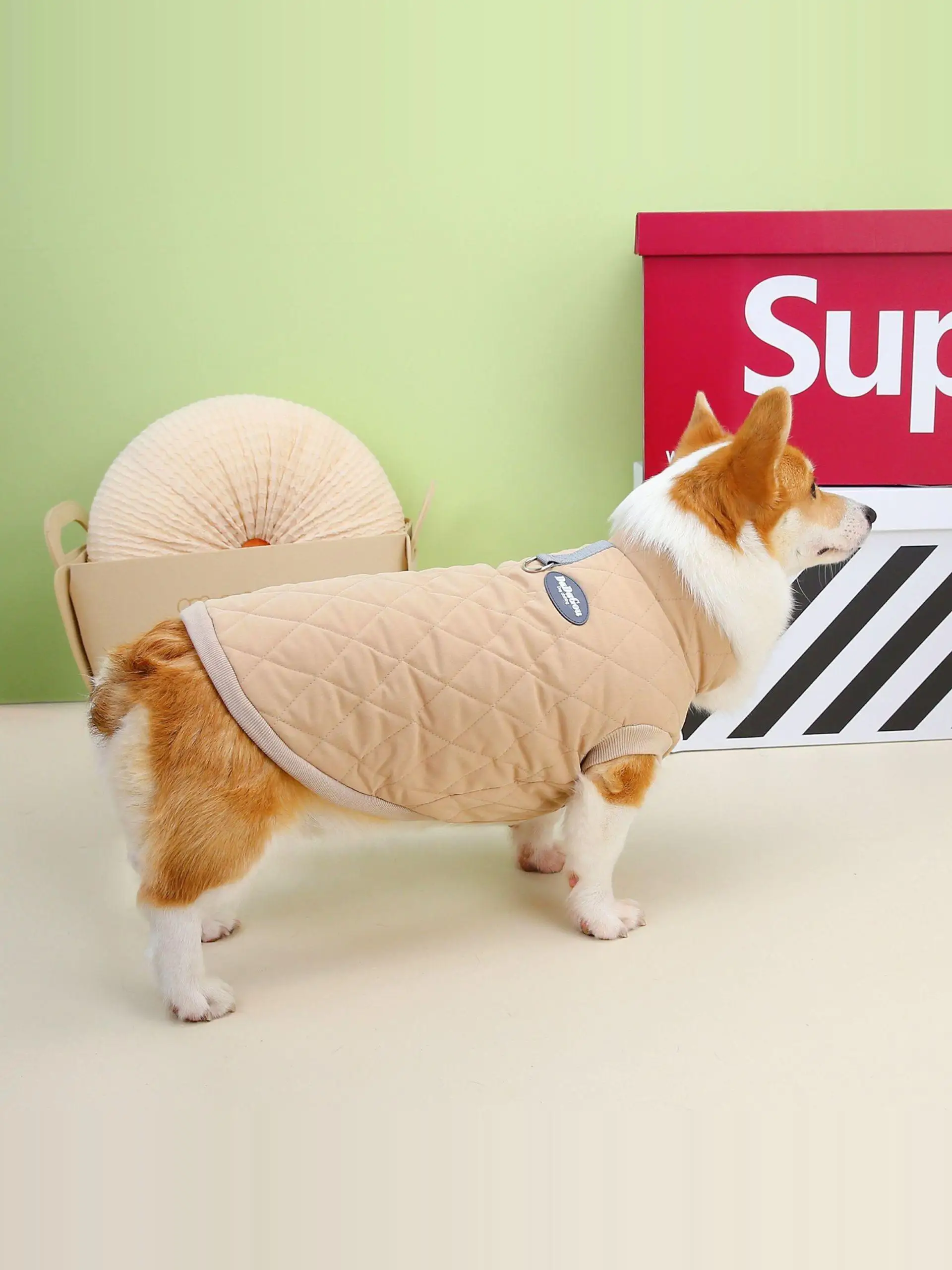 犬のお散歩グッズをコスパ良く揃える方法　フリースベストの選び方徹底解説