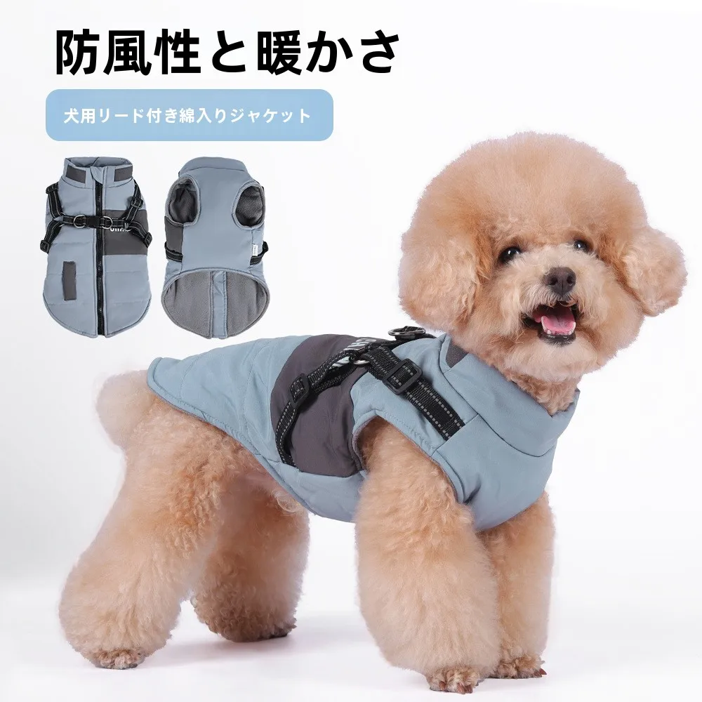 犬のお散歩グッズをコスパ良く揃える方法｜実用性とデザインのバランスを徹底解説