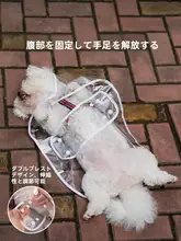 犬用レインコート【透明・小中型犬用・防水デザイン・テディベアタイプ】