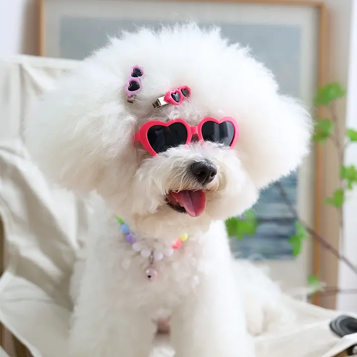 個性的なペット用サングラス【犬猫用・ハートデザイン・フォトプロップス】