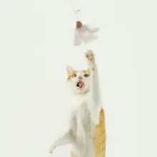 猫じゃらしおもちゃ【木製ハンドル・バネ式・交換可能な羽根と鈴付き】