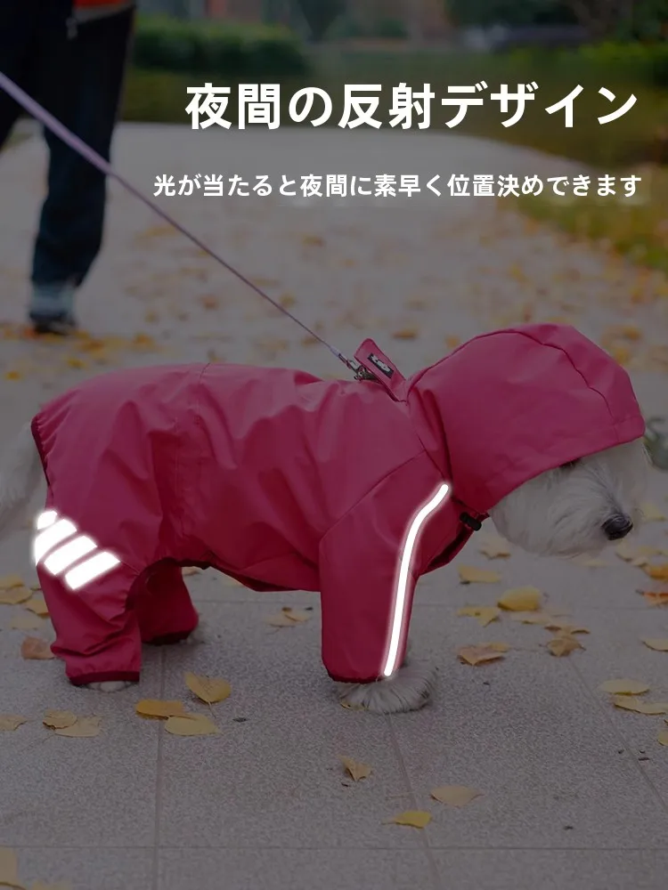 犬のお散歩グッズをコスパ良く揃える方法 - 全身防水レインコートの選定基準