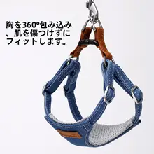 猫用ハーネスリード【脱走防止・小型猫向け・外出用】