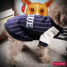 小型犬用秋冬ボーダーシャツ【ペットウェア・二足タイプ】（セットアップ対応）