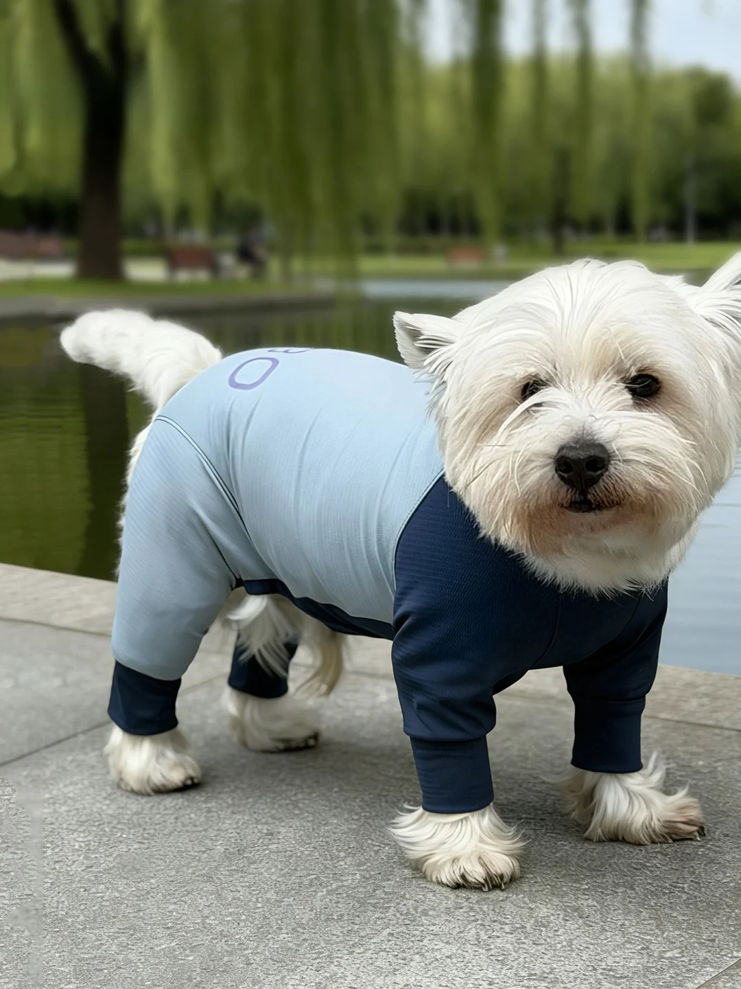 犬の夏用服：PEBOT冷感デザインウェアの通気性と抗菌性能を徹底解説