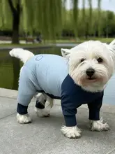 ドッグウェア 小型犬用 4本脚 PEBOT 冷感 抗菌 消臭 涼感 夏 「zeex」