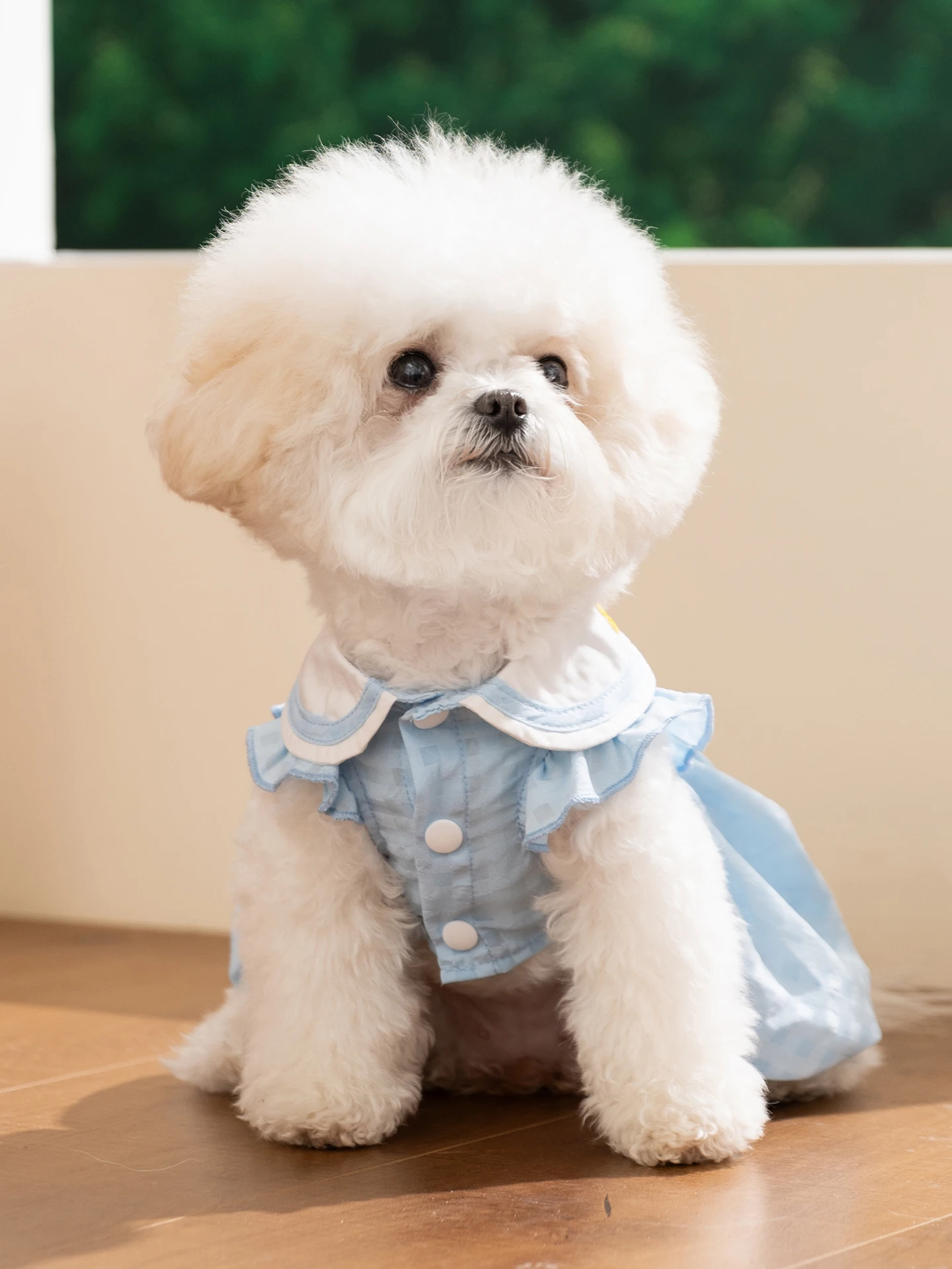 hipidog テディベア風デザインの犬用夏用ドレス：通気性と日常散歩に最適なフリル付きドレス