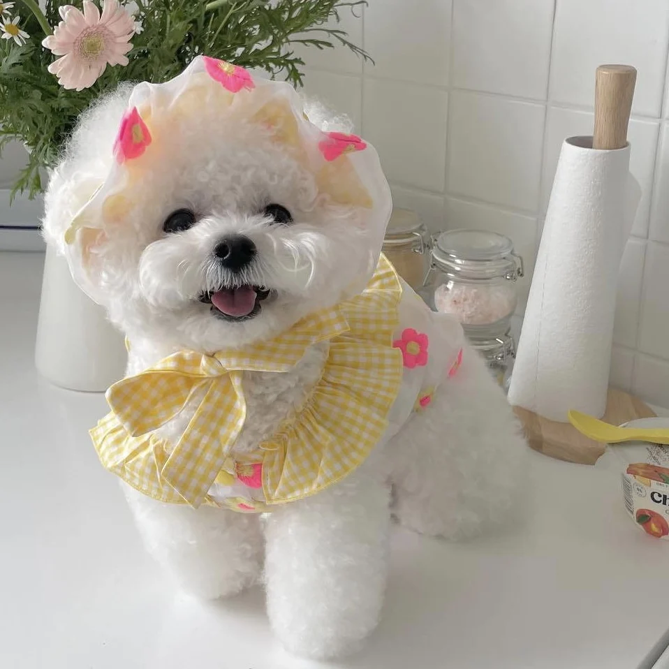 夏服アクセサリーとしての犬のドレス、どう選ぶべきか？
