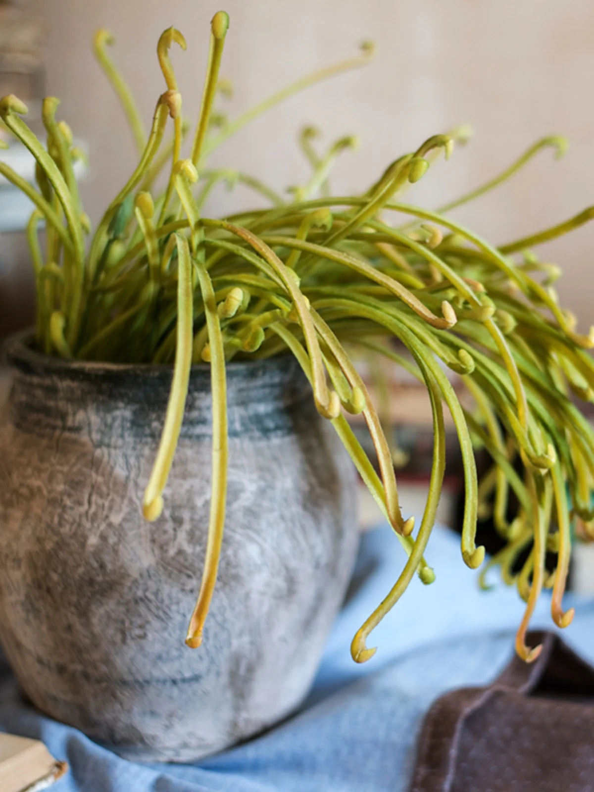 オウムの草で心を癒す方法は？現代のインテリアに溶け込む、自然のリズムを届ける花束の選び方