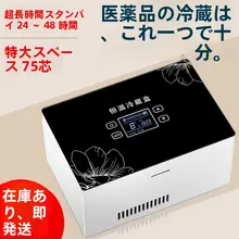 保冷ボックス 携帯式 車載 家庭用 バッテリー充電 恒温 温度調整
