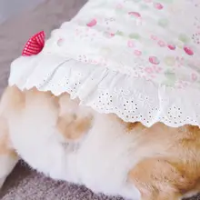 可愛い草莓柄ドッグウェア【冷感素材・柴犬・コーギー用】