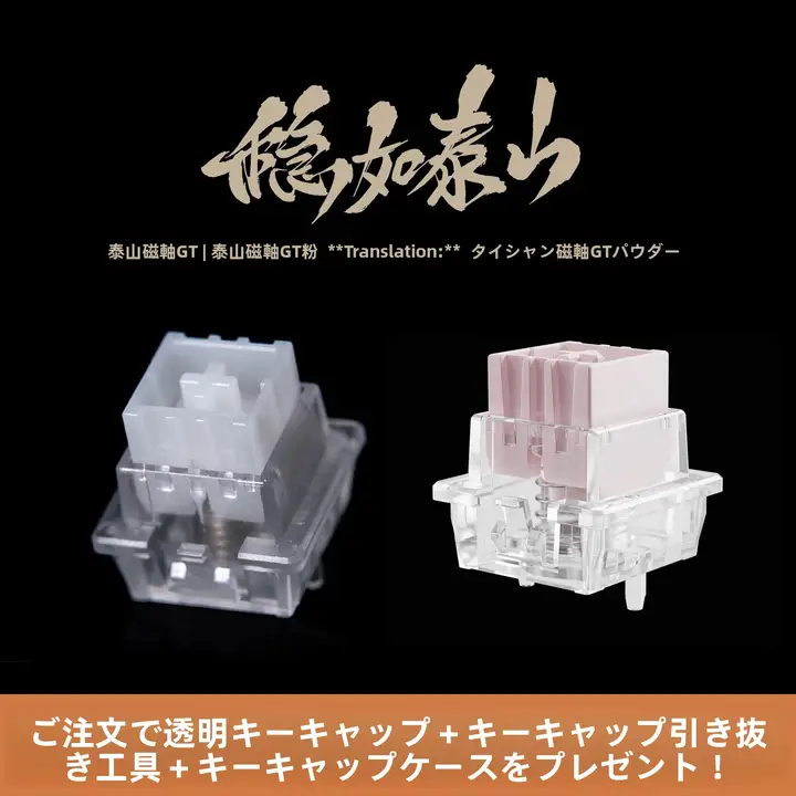 磁気軸 キーボードスイッチ 高精度 一体型ハウジング 高安定 GT