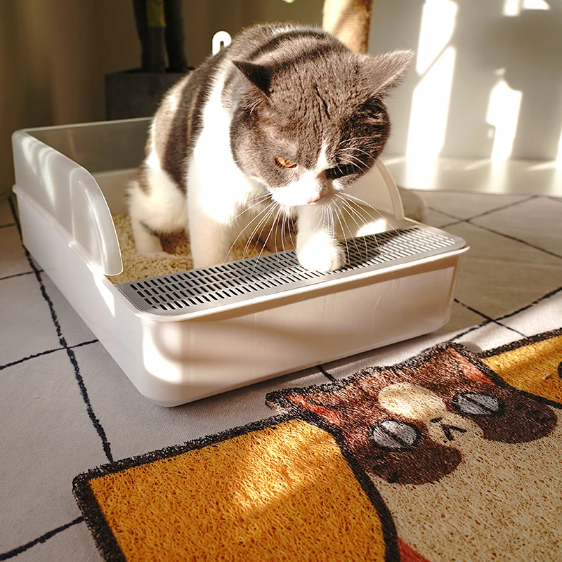 こたつに猫がいる場合のトイレ選び：オープンタイプ大型フィルター付きモデルの実用性解析