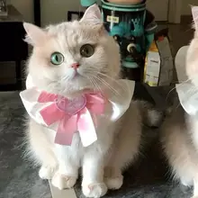 猫用薄荷風ネックカラー【ペット用・水分吸収・おしゃれなデザイン】