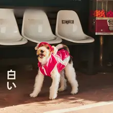 春夏用ピンクの犬用アウトドア日焼け防止ウェア【収納可能・かわいい・快適】