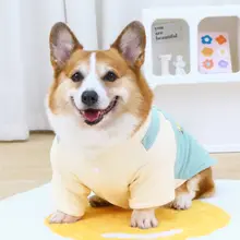 可愛い犬用秋冬用アウター【保温・小型犬用】（セットアップ対応）