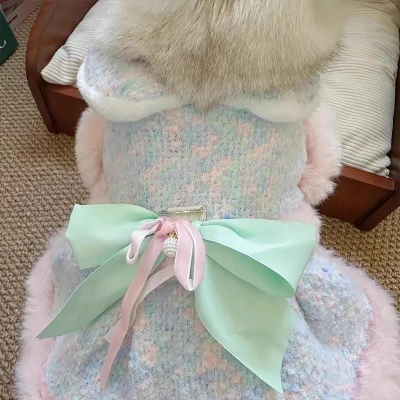 101匹わんちゃんコーデで悩むなら、この1着で解決できる？