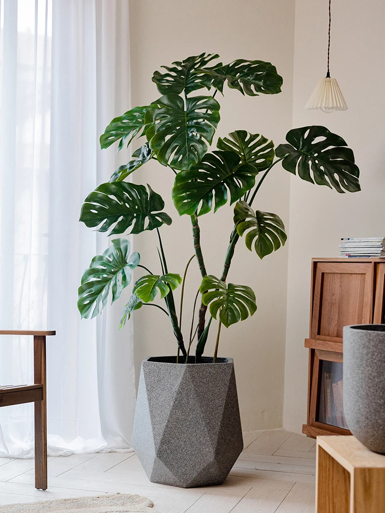 大きな植木鉢を選ぶときに迷うのは、本当にサイズの違いなのか？