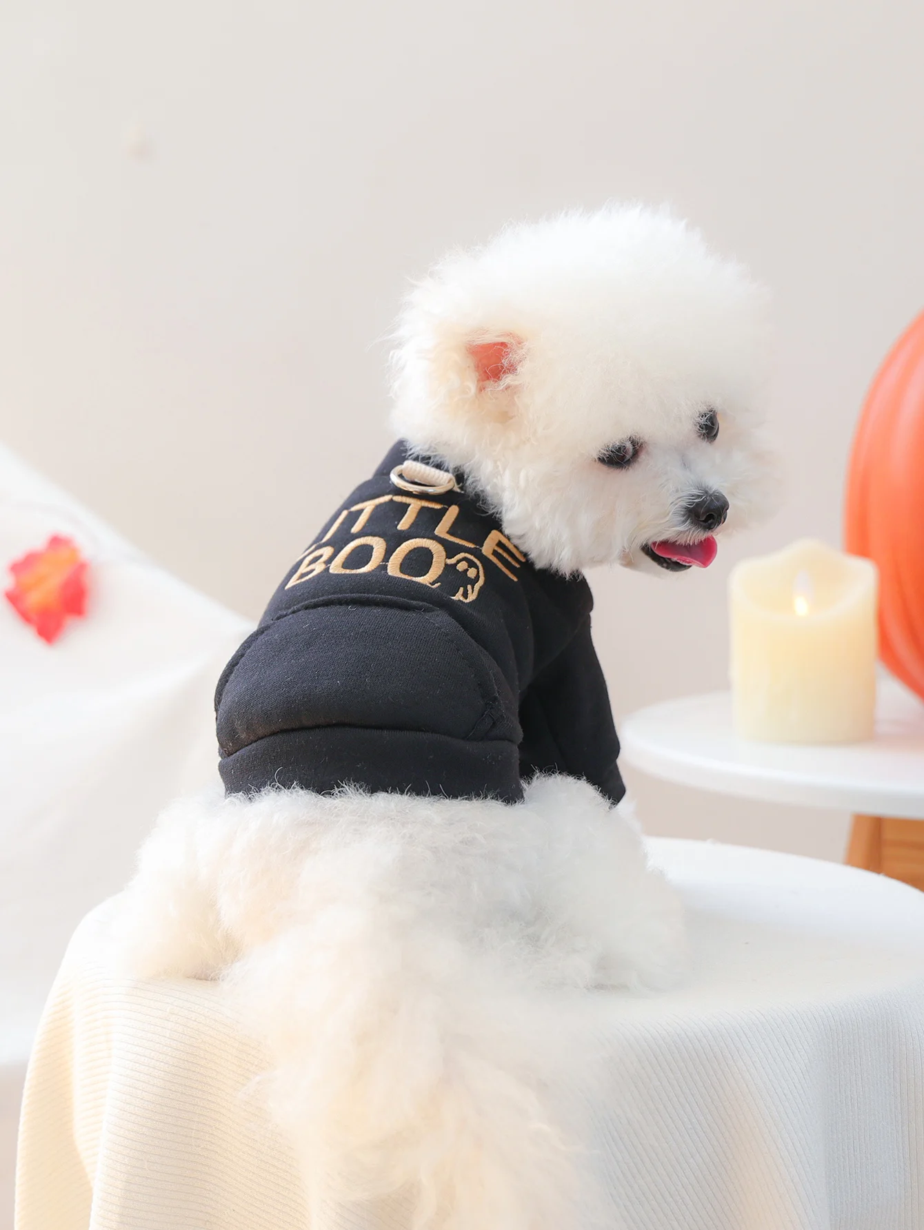 春秋用牽引フード付き犬用ウェア【小型犬・二脚タイプ】の選び方と実用性