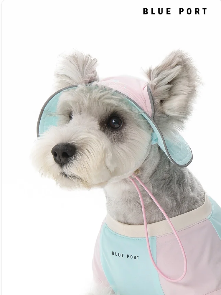 犬のお散歩グッズをコスパ良く揃える方法｜UVカット帽子の選び方と実際の使い方
