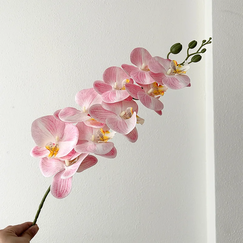 ホワイトガーデンとは？胡蝶蘭の造花が提供する高級感あるインテリアの実態