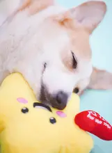 超かわいいペット用ぬいぐるみおもちゃ【音声機能付き・星と太陽デザイン】