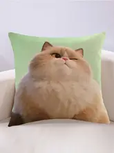 癒し系の動物クッション【カートゥーンデザイン・リビングやオフィスに最適】